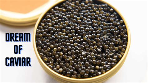 Exploring the Symbolic Meaning of Dreaming about a Caviar Fish