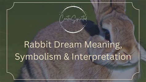 Exploring the Symbolic Meanings of a Dark Hare in Dreams