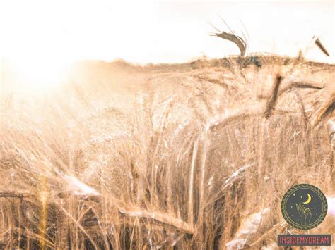 Exploring the Symbolic Power of Wheat Dreams in Depicting Masculine Energies and Qualities