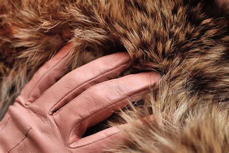 Exploring the Symbolic Significance of Ebony Ladies' Pelt Mittens in Dreams