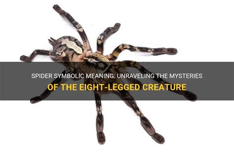 Exploring the Symbolism: Unraveling the Meaning of the Eight-Legged Creature in Dreams