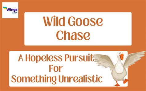 Exploring the Symbolism of Chasing after Wild Geese in our Dreams