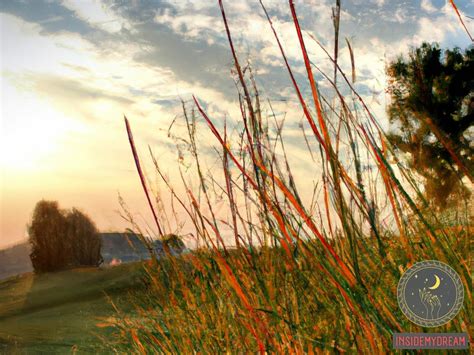 Exploring the Symbolism of Dreaming About Cultivating a Field