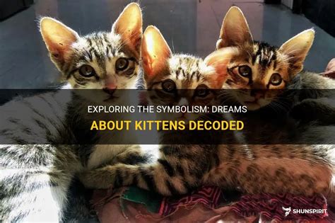 Exploring the Symbolism of Kittens