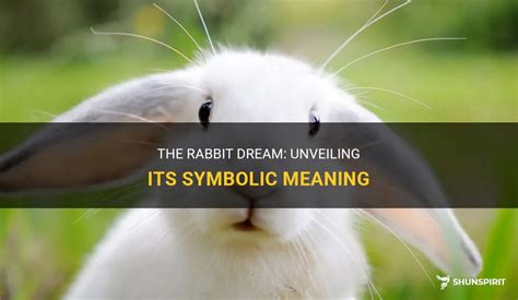 Exploring the Symbolism of a Rabbit in Dreams: Unveiling the Interpretation