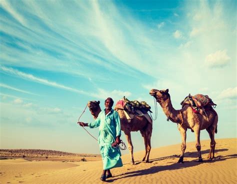 Exploring the Timeless Connection between Humans and Camel Companions