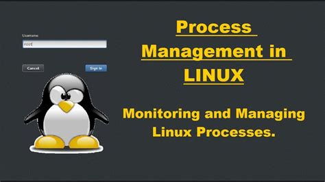 Exploring the World of Controlling and Overseeing Processes in the Linux Environment