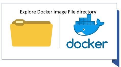 Exploring the default directory for Docker files on a Linux virtual environment