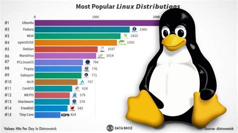 Factors Contributing to the Popularity of a Linux Distro