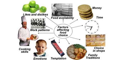 Factors Influencing Anaconda Feeding Behaviors