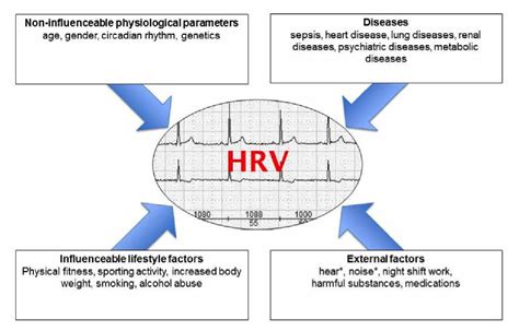 Factors Influencing Heart Rate Variability