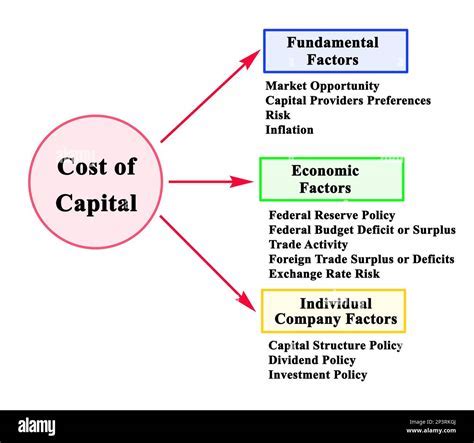 Factors Influencing the Cost of Enchanted Fungi