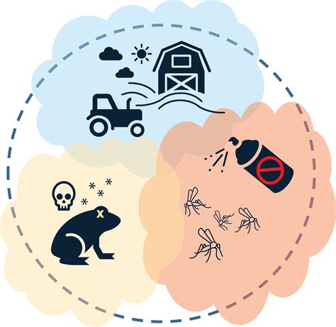 Factors contributing to the decline in populations of the ebony soarers