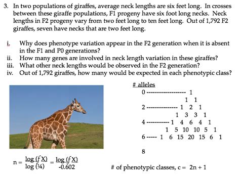 Factors influencing the price of a giraffe appearance in a dream