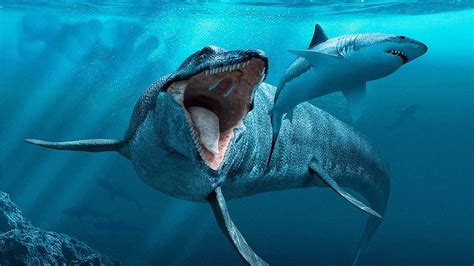 Fascinating Species: Exploring the Origin and Characteristics of the Gigantic Aquatic Creature