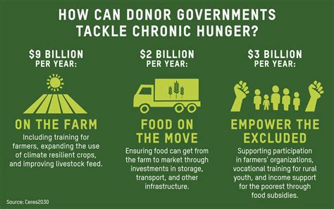 Feast for All: Addressing Global Hunger Through Increased Food Production