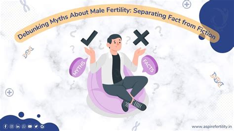 Fertility Myths Debunked: Separating Fact from Fiction