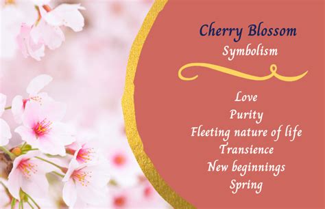 Fertility and the Circle of Life: Insights into the Significance of the Cherry Symbol