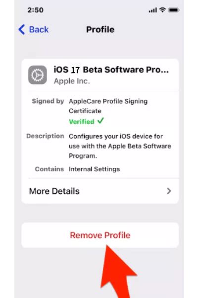 Final Steps and Recommendations After Removing iOS 17 Beta