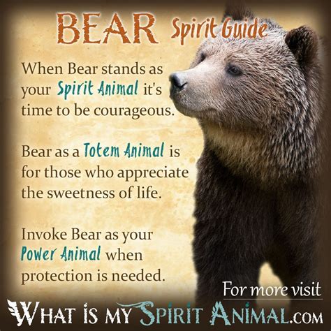 Finding Inner Strength: The Bear as a Symbol of Feminine Power