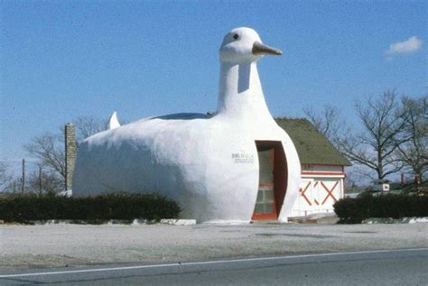 Finding Inspiration: Exploring Duck Architecture Around the World