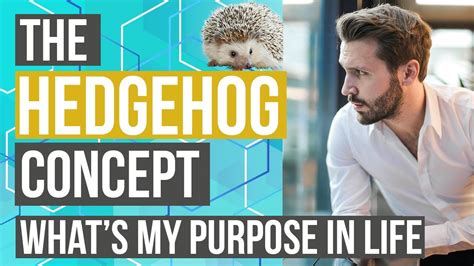 Finding Purpose in Hedgehog Dreams: What They Can Teach Us