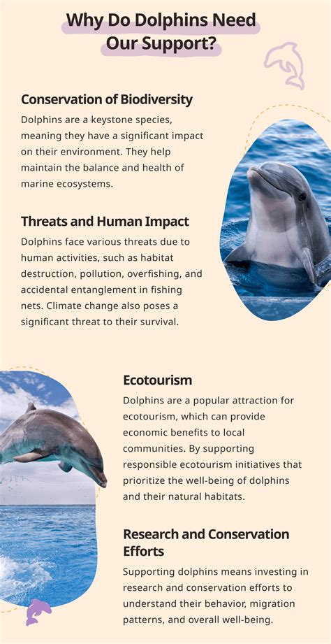 Finding a Balance: Ecotourism and Dolphin Conservation