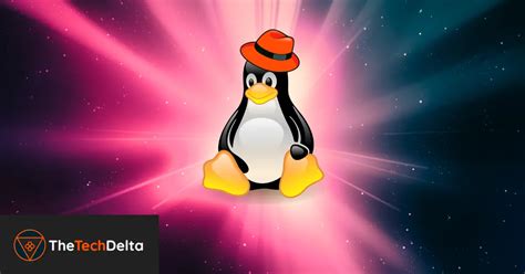 Finding the Right Fit: Selecting the Ideal Linux Experience