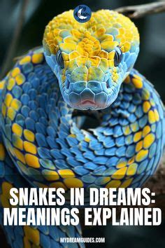 Floating Snakes: A Rare and Intriguing Dream Image