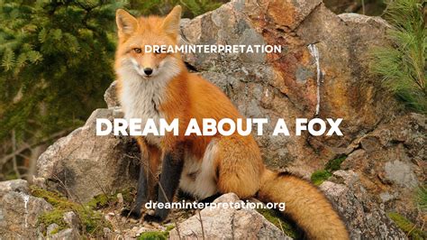 Fox Dreams and Personal Transformation