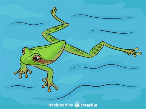 Frog Swimming as a Source of Inspiration: Lessons We Can Learn