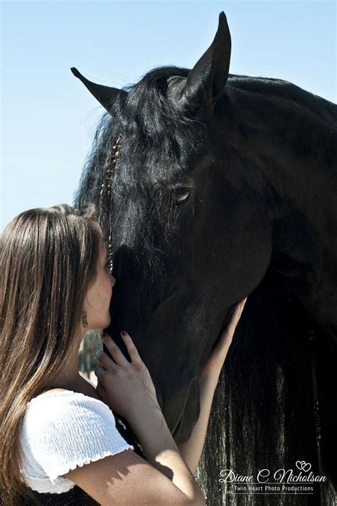 From Admirer to Companion: An Unbelievable Bond