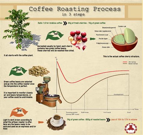 From Bean to Brew: Exploring the Coffee-making Process