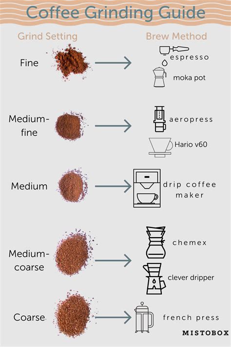 From Bean to Brew: The Art and Science of Coffee Grinding