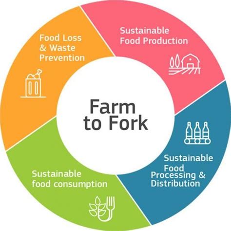 From Farm to Fork: Fresh and Sustainable Ingredients