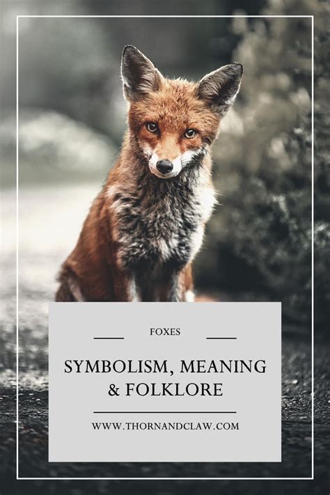 From Folklore to Dreamland: The Symbolic Significance of the Fox and the Fish