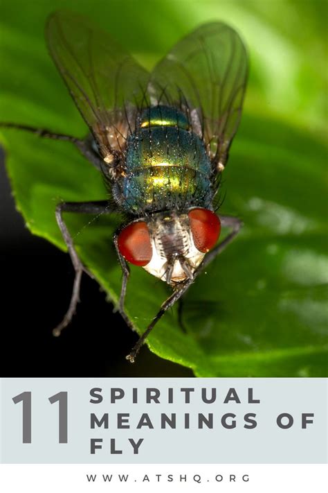 From Pest to Omen: The Symbolic Significance of Flies in Dreams