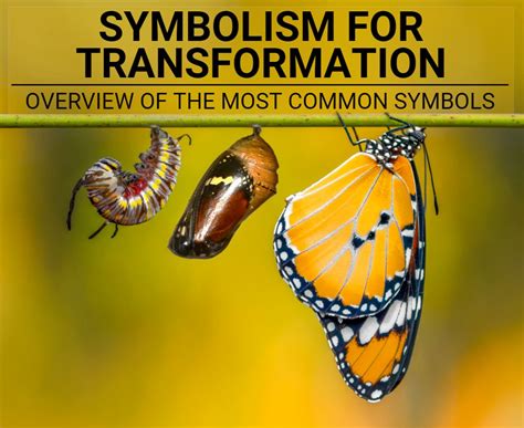 From Temptation to Transformation: Symbolism of the Act