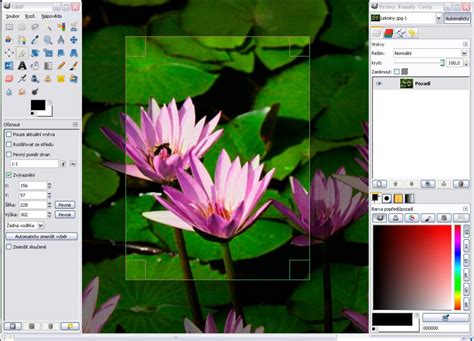 GIMP: The Versatile Image Editing Software