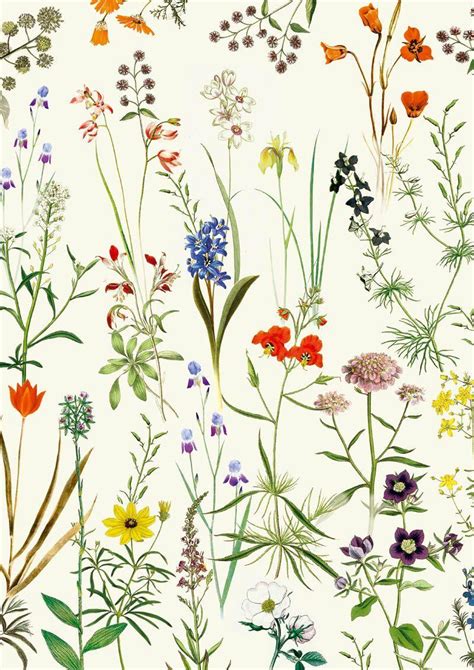 Garden of Style: Exploring the Various Kinds of Botanical Prints and Designs