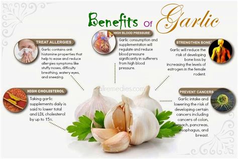 Garlic as a Natural Remedy: Unveiling the Potential Health Advantages