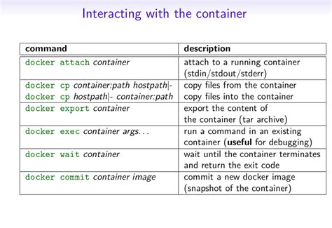 Getting Started with Docker Run Options