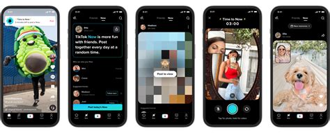 Getting Started with TikTok on Your iPhone