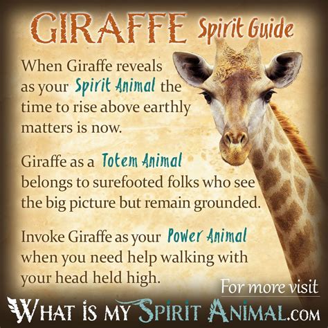 Giraffes as a Symbol of Feminine Power and Grace