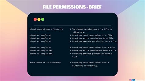 Granting Execution Permissions to Your Script