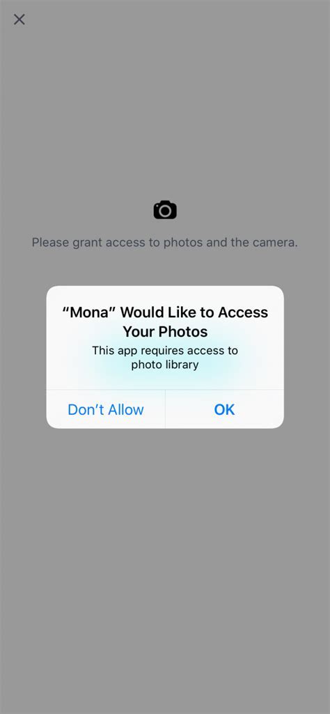 Granting Permission to Access Your iPhone Photo Library