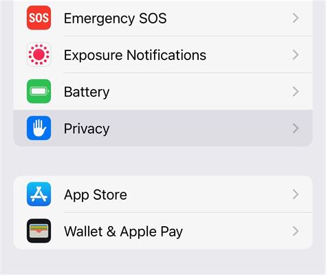 Granting Permissions on Your iPhone