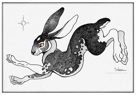 Gray Hare as a Messenger of Change and Transformation