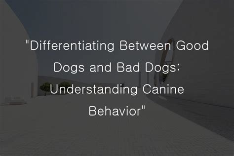 Guard Dogs or False Alarms? Differentiating between Real Threats and Symbolic Canine Assaults