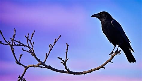 Guidance and Steps to Consider After a Crow Appears in Your Dream